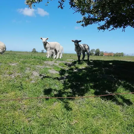 Mien Leevsten Nyaraló *