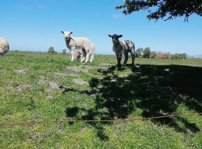 Mien Leevsten Vakantiehuis *